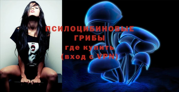 бошки Барнаул