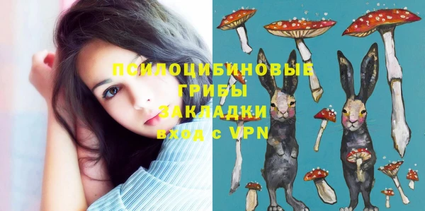 дурь Магас