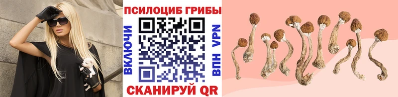 Псилоцибиновые грибы прущие грибы  где купить   Фурманов 