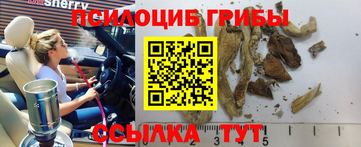 Псилоцибиновые грибы MAGIC MUSHROOMS  Вход с VPN  Фурманов 