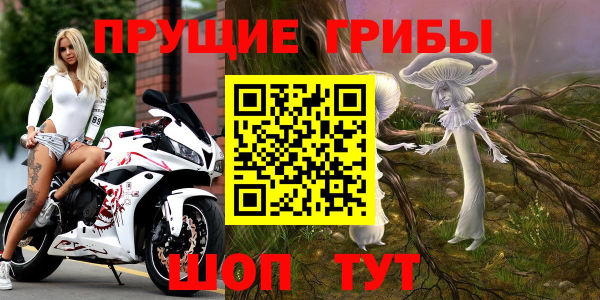Галлюциногенные грибы Psilocybe Фурманов